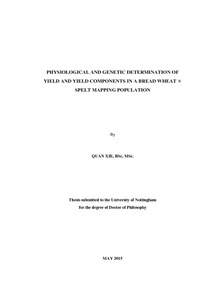 Phd thesis on wheat